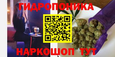 spice Будённовск
